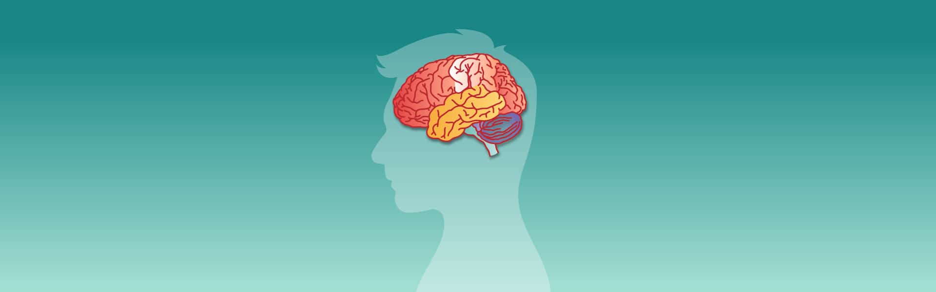 Uddannelse i praksisnær neuropædagogik